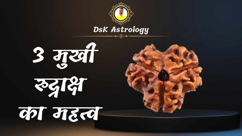 3 मुखी रुद्राक्ष