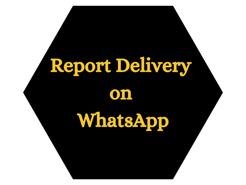 USP of Ask Expert Astrologer Report