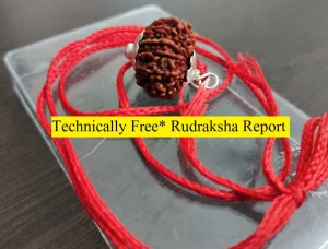Rudraksh Remedy