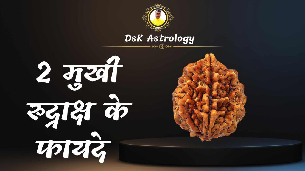 2 मुखी रुद्राक्ष के फायदे