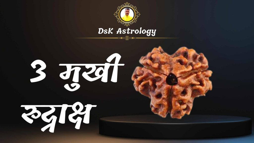3 मुखी रुद्राक्ष